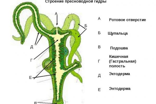 Что продают на кракене