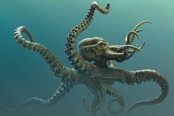 Kraken вход