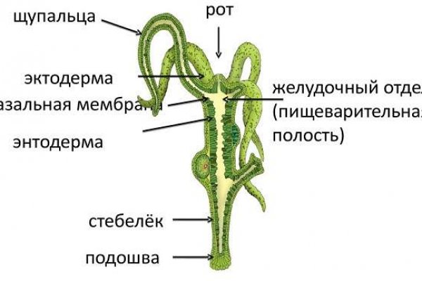 Kraken сайт даркнет