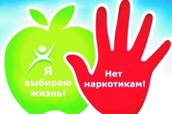 Кракен тор текст