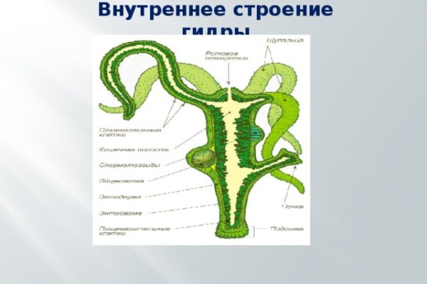 Кракен шоп нарк