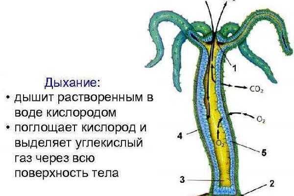 Kra37at