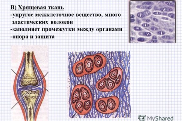 Как открыть кракен